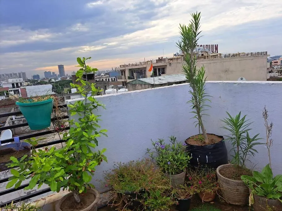 Appartement Green Bacchus By Walias Gurgaon Inde